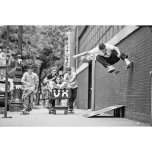 Polar Skate co