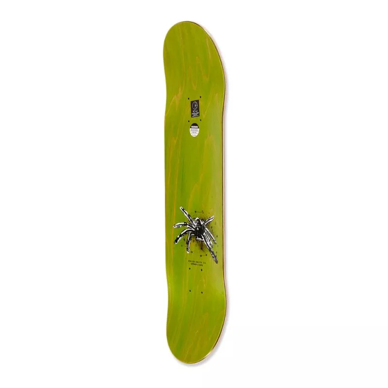 Polar Skate Co / David Senstrom Spider / 8.00 Short