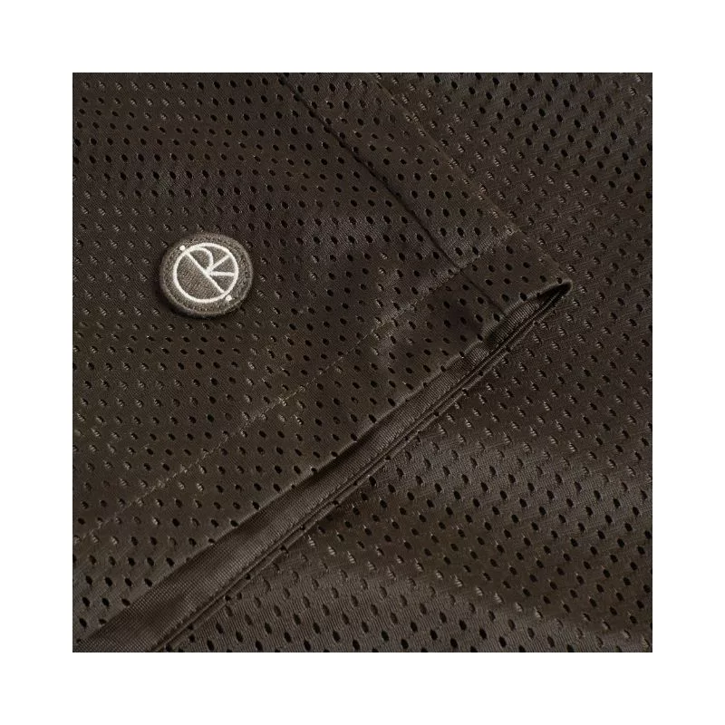 Polar Skate Co / Ray Shorts / Brown